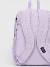 Рюкзаки JanSport модель EK0A5BAH1D91 Фото