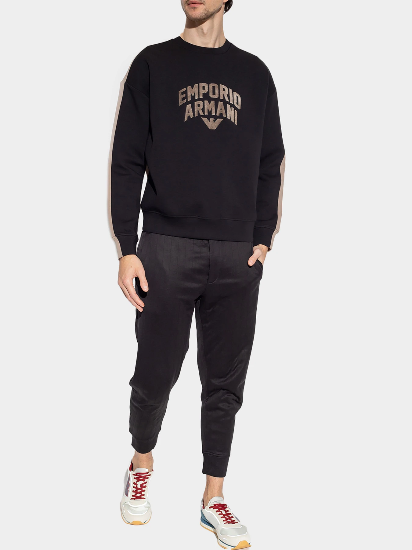 Худи и свитшоты Emporio Armani модель 3R1MBE-1JHSZ-0087 Худи и свитшоты Emporio Armani модель 3R1MBE-1JHSZ-0087 Фото