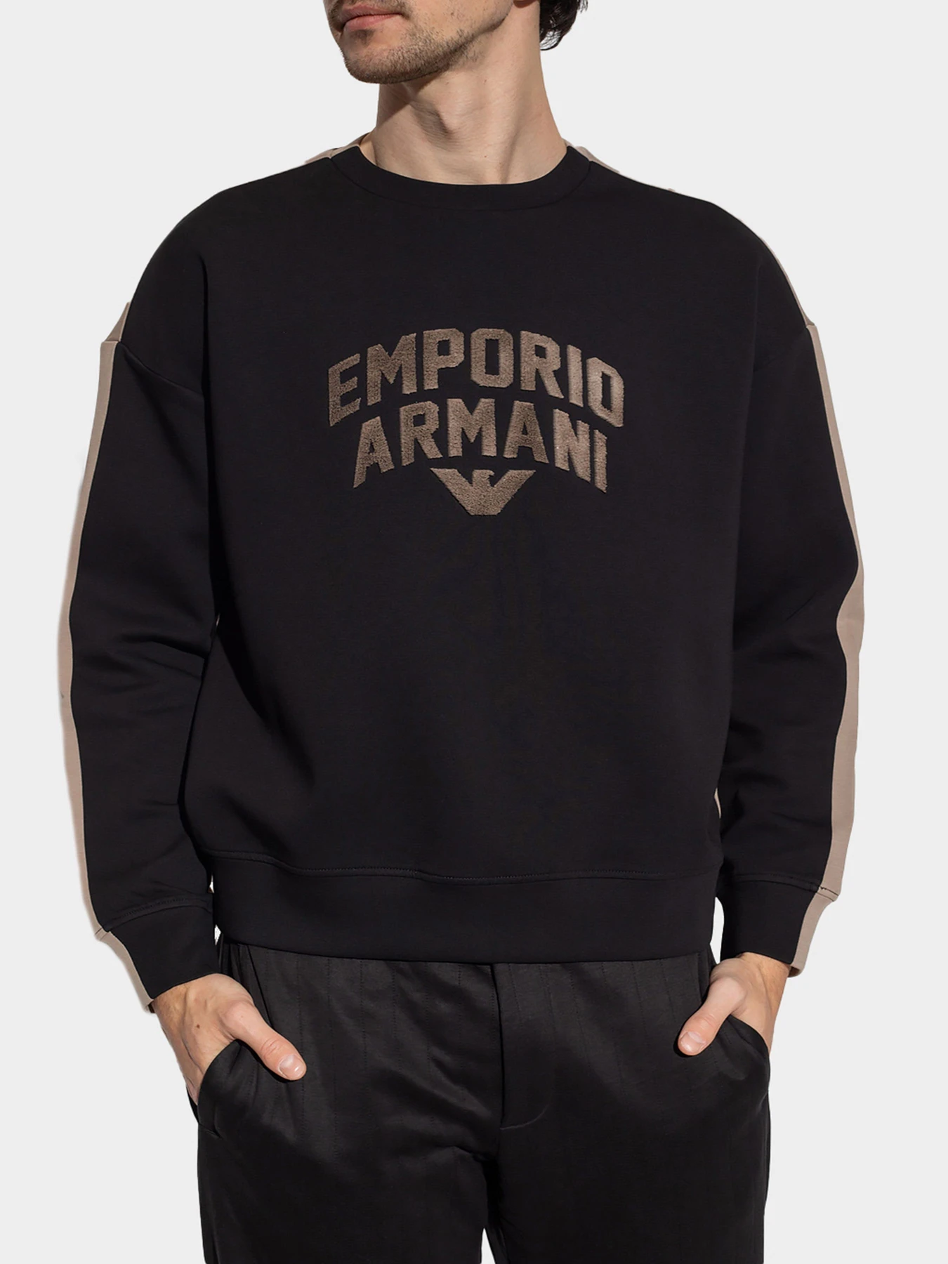 Худи и свитшоты Emporio Armani модель 3R1MBE-1JHSZ-0087 Худи и свитшоты Emporio Armani модель 3R1MBE-1JHSZ-0087 Фото