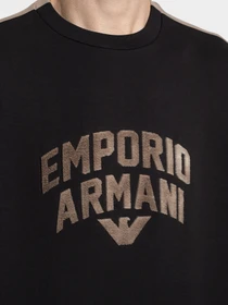Худи и свитшоты Emporio Armani модель 3R1MBE-1JHSZ-0087 Фото