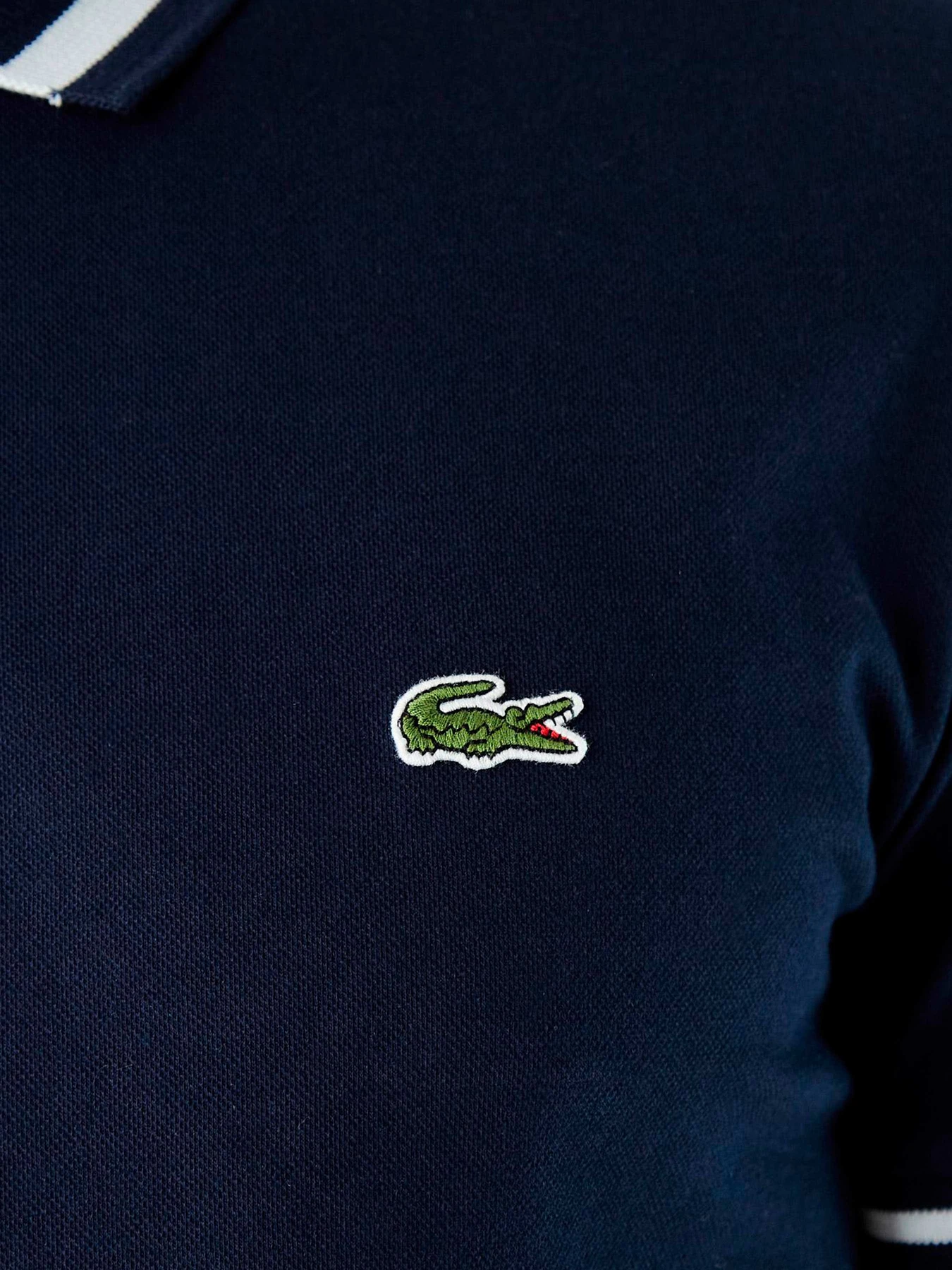 Футболки и поло Lacoste модель PH023636L Футболки и поло Lacoste модель PH023636L Фото