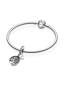 Классические PANDORA Moments модель 791728CZ Фото