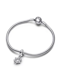 Классические PANDORA Moments модель 792247C01 Фото