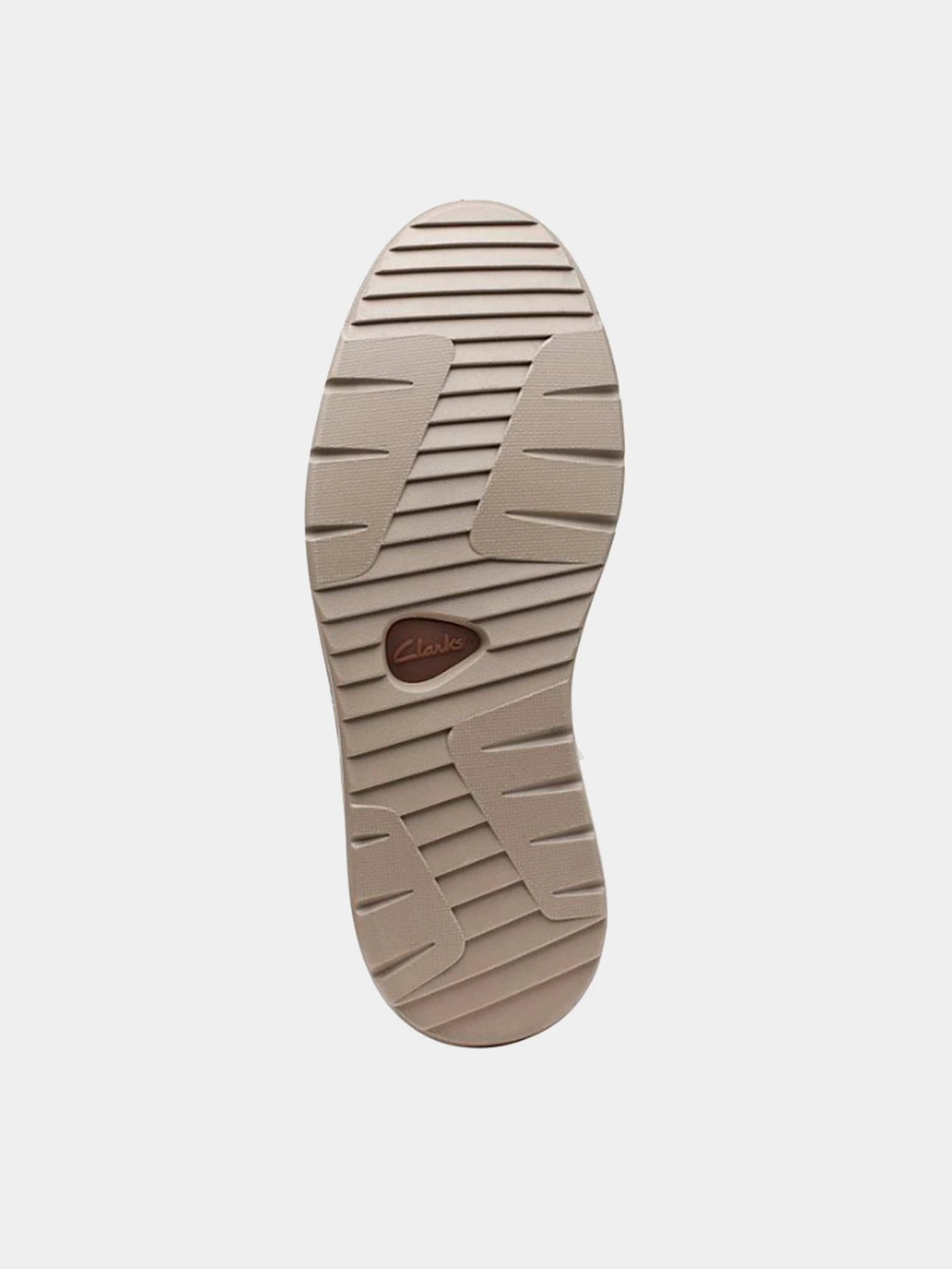 Ботинки и сапоги Clarks модель 26169109 Ботинки и сапоги Clarks модель 26169109 Фото