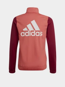 Костюмы Adidas модель HE2002 Фото