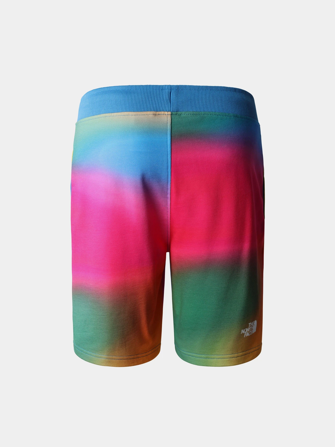 Шорты The North Face модель NF0A3S4EIAX1 Шорты The North Face модель NF0A3S4EIAX1 Фото