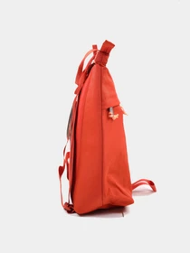Сумки The North Face модель NF0A52VSIT11 Фото