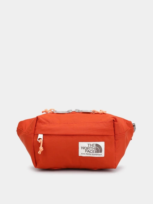 Сумки The North Face модель NF0A52VUIT11 Фото