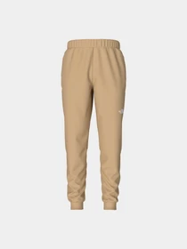 Брюки The North Face модель NF0A7Z9PLK51 Фото