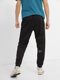Брюки The North Face модель NF0A823UJK31 Фото