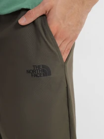Шорты The North Face модель NF0A827721L1 Фото