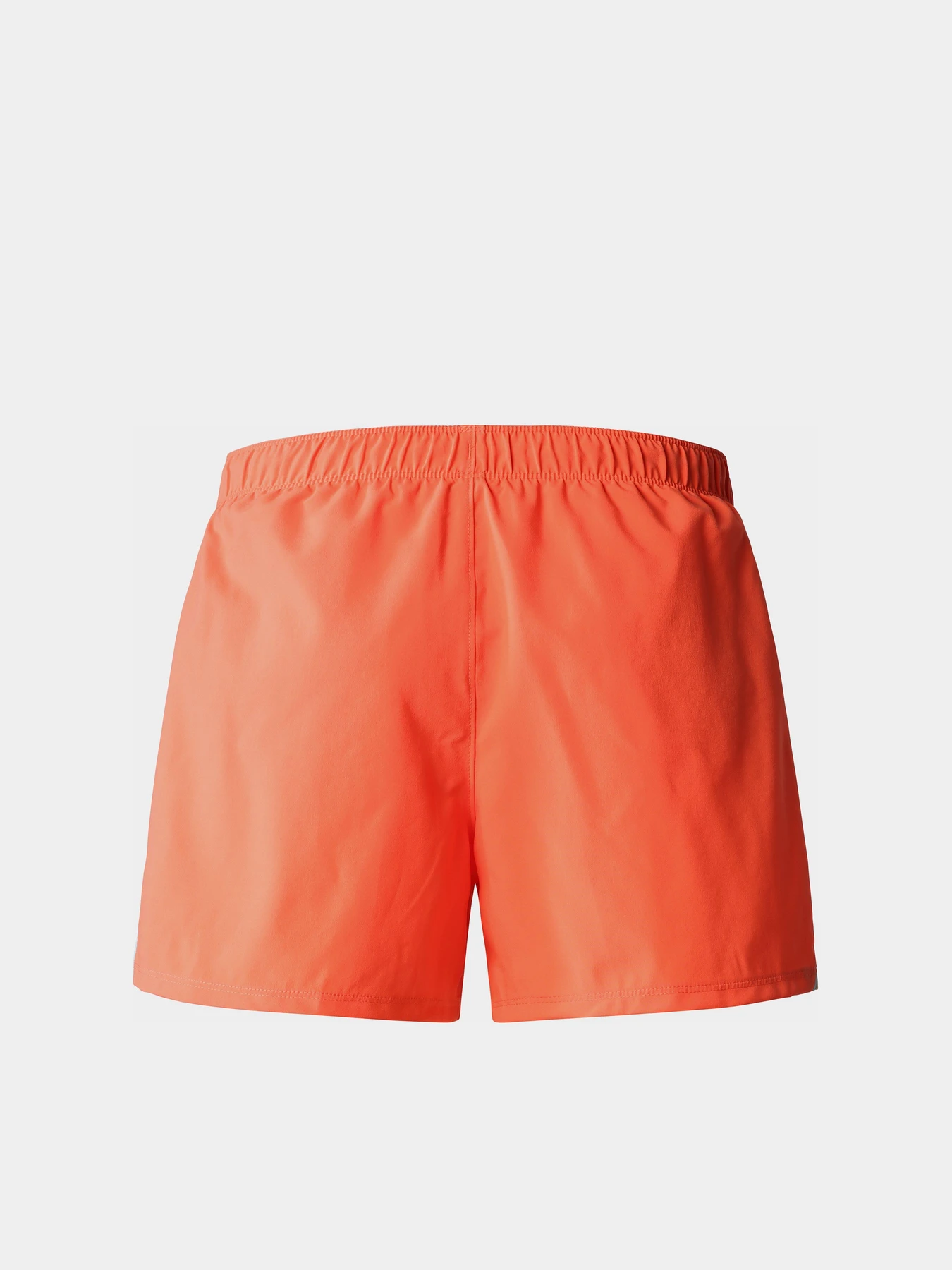Шорты The North Face модель NF0A82OMLV31 Шорты The North Face модель NF0A82OMLV31 Фото