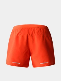 Шорты The North Face модель NF0A8316LV41 Фото
