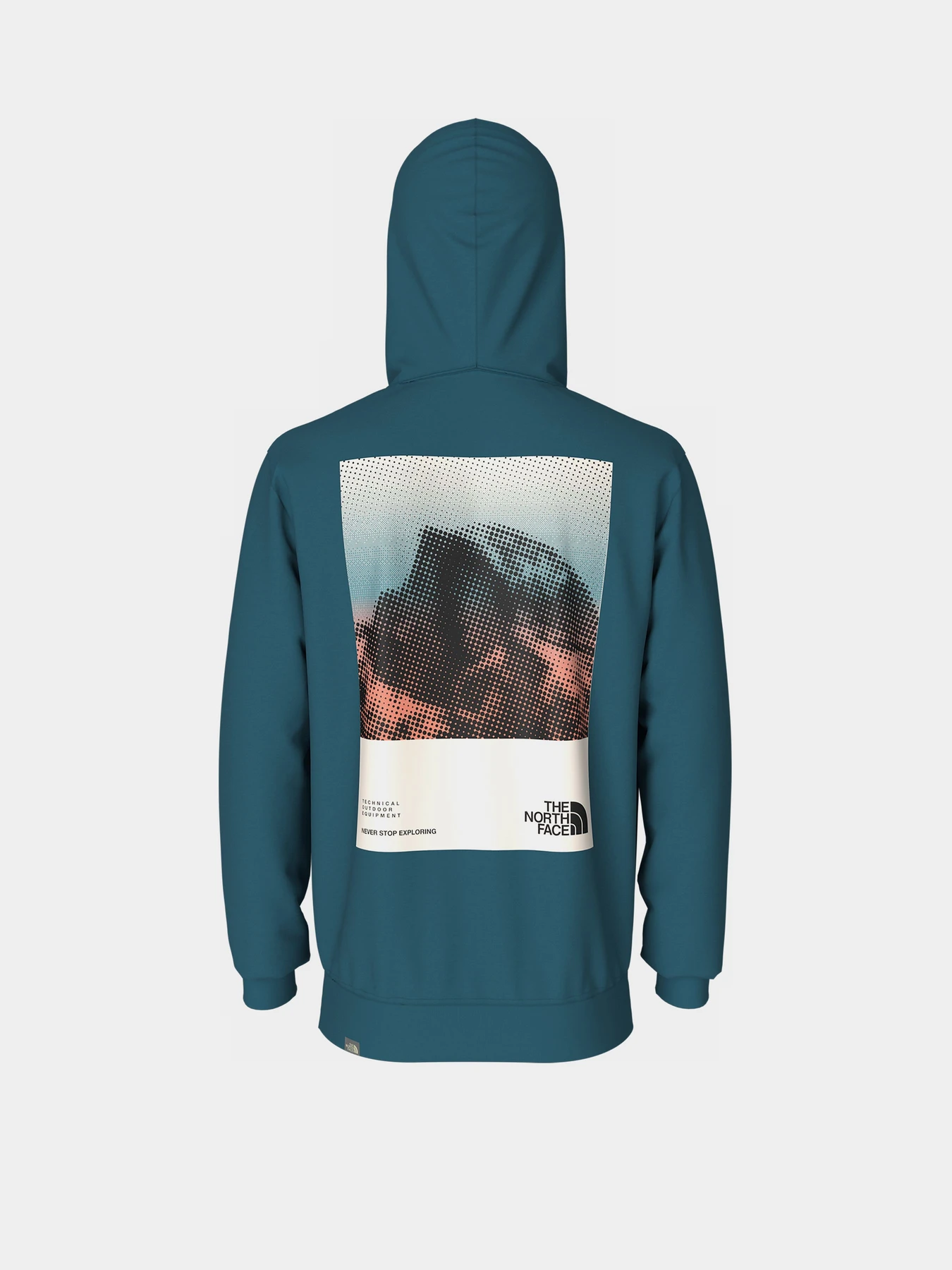 Худи и свитшоты The North Face модель NF0A83FOEFS1 Худи и свитшоты The North Face модель NF0A83FOEFS1 Фото