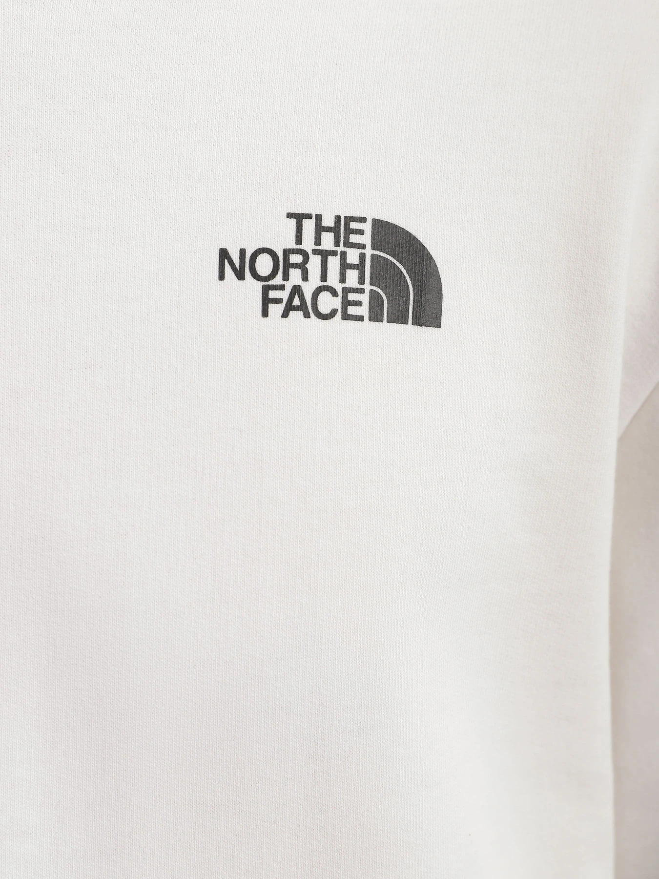 Худи и свитшоты The North Face модель NF0A83FON3N1 Фото