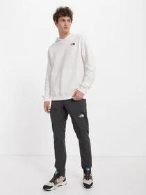 Худи и свитшоты The North Face модель NF0A83FON3N1 Фото
