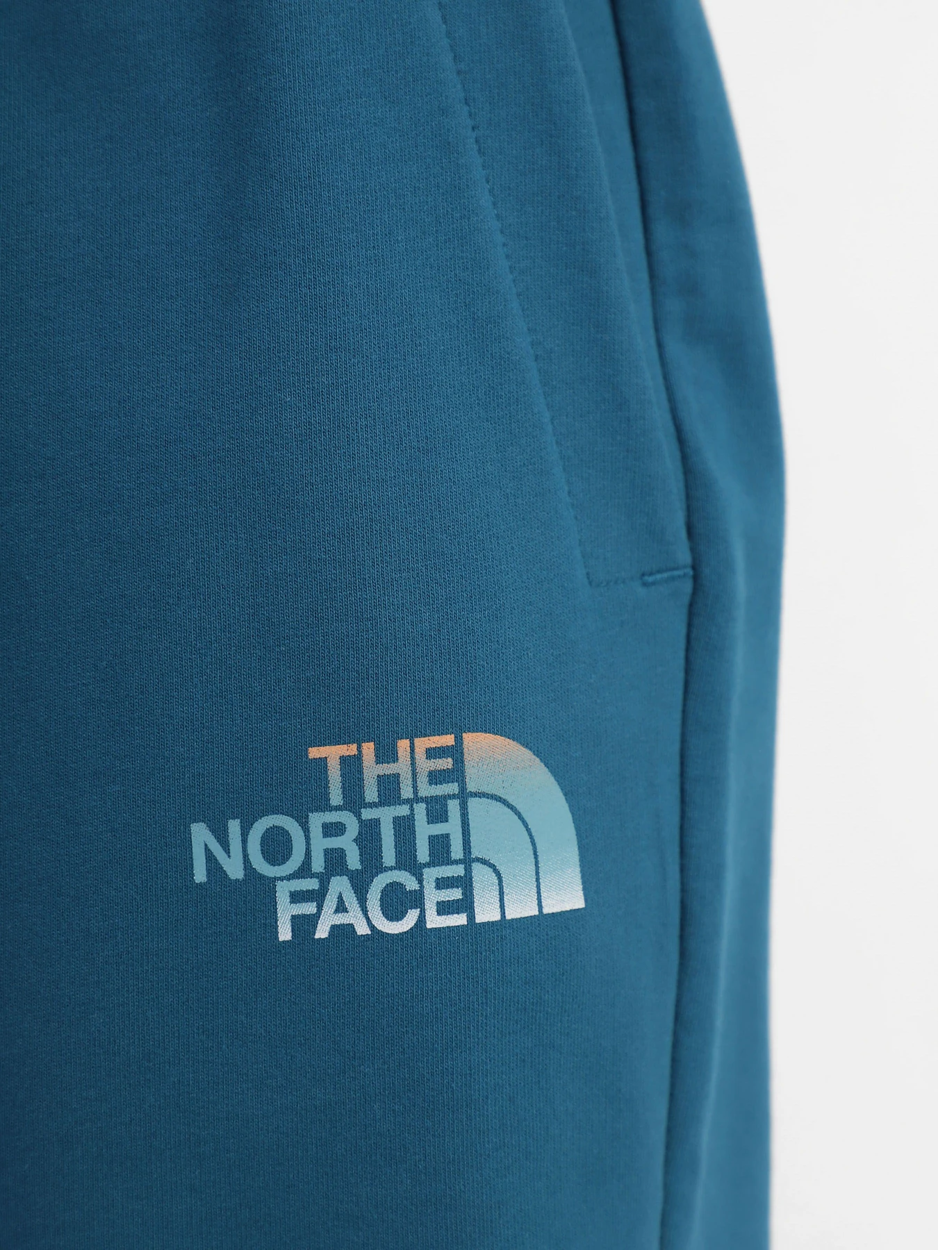 Шорты The North Face модель NF0A83FREFS1 Шорты The North Face модель NF0A83FREFS1 Фото
