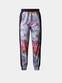 Брюки The North Face модель NF0A84Z1ITV1 Фото
