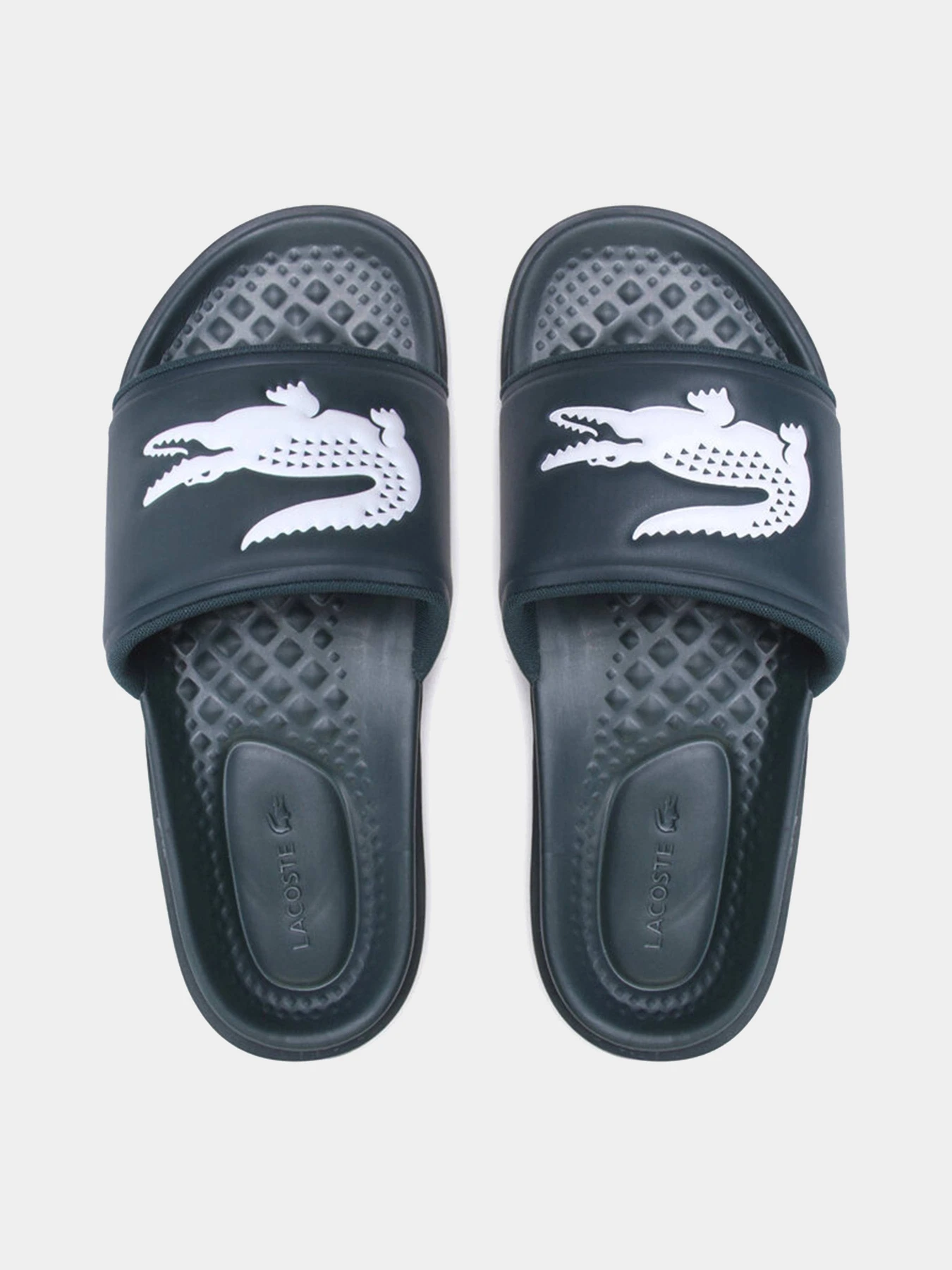 Шлёпанцы Lacoste модель 743CMA00202D2 Фото