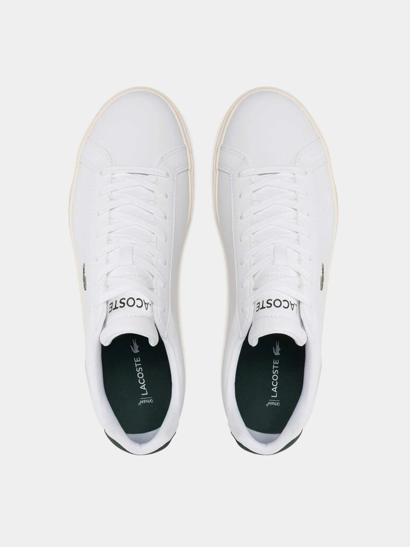 Кеды Lacoste модель 744CMA00241R5 Кеды Lacoste модель 744CMA00241R5 Фото