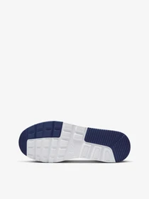 Кроссовки NIKE модель CW4555-012 Фото