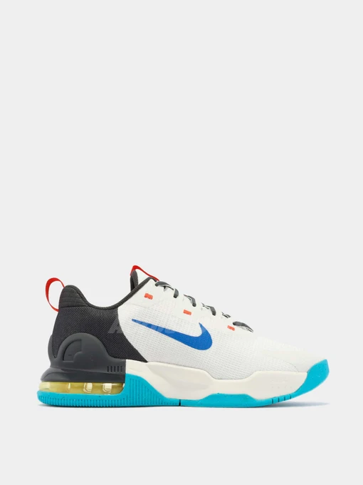 Кроссовки NIKE модель DM0829-100 Фото