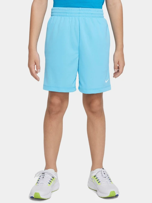 Шорты NIKE модель DX5390-416 Фото