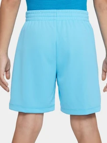 Шорты NIKE модель DX5390-416 Фото