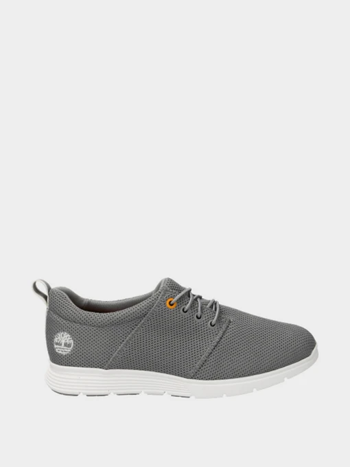 Кроссовки Timberland модель TB0A2FWE085 Фото