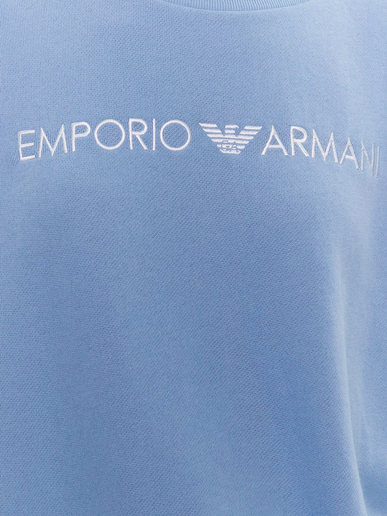 Худи и свитшоты Emporio Armani модель 164675-3R268-00291 Фото
