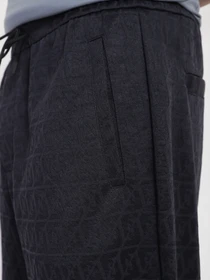 Брюки Emporio Armani модель 3R1PZ3-1JMSZ-0920 Фото