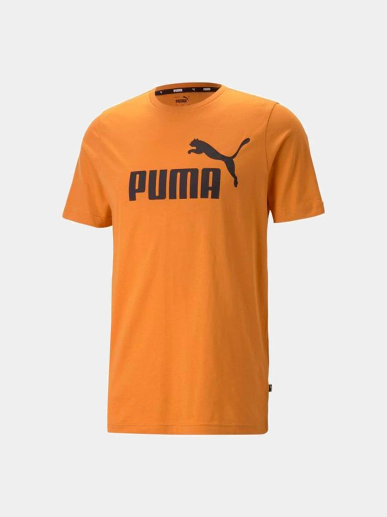 Футболки и поло PUMA модель 58666727 Футболки и поло PUMA модель 58666727 Фото