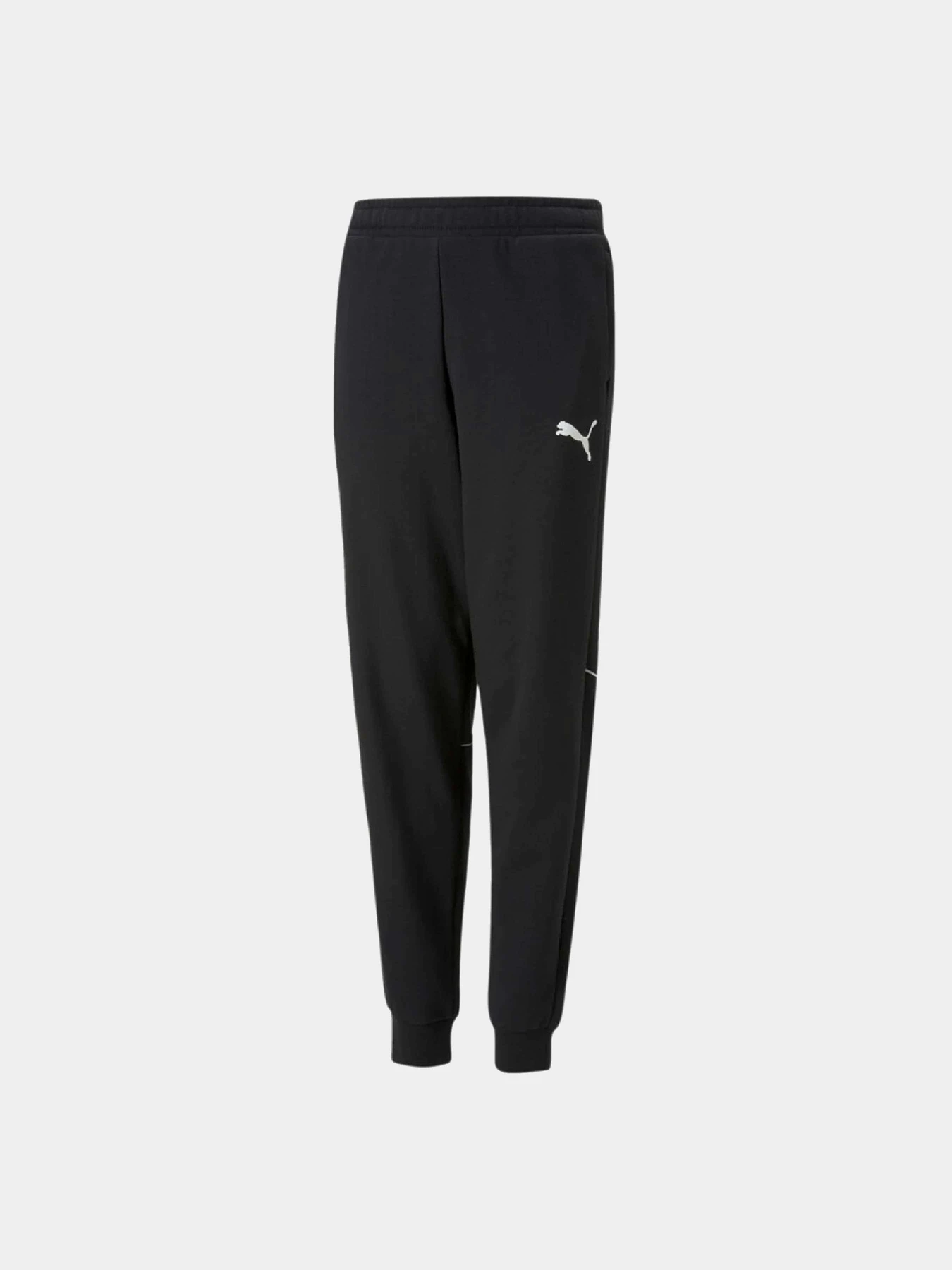Брюки PUMA модель 67007601 Брюки PUMA модель 67007601 Фото