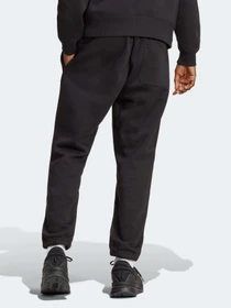 Брюки Adidas модель IC9787 Фото