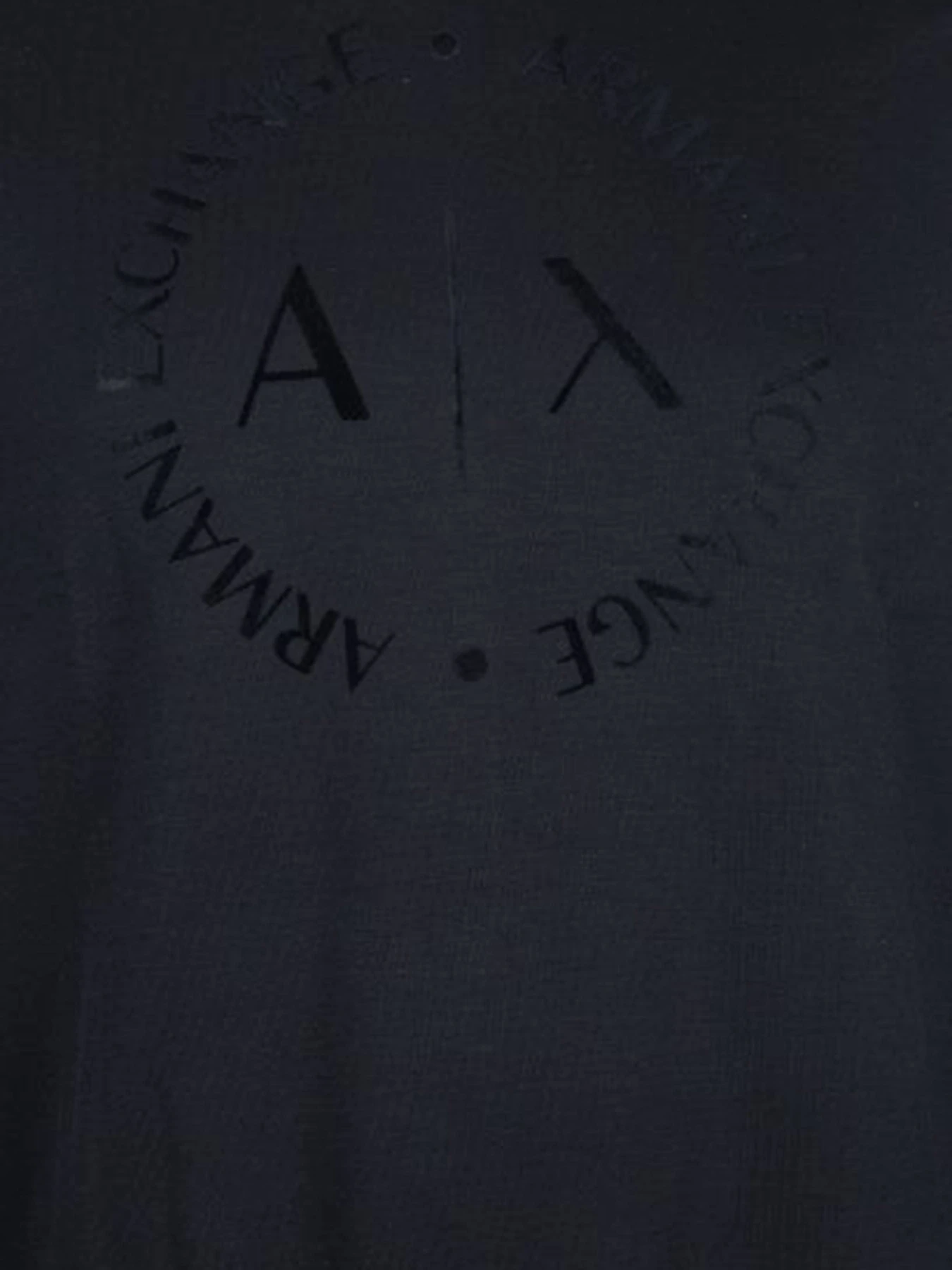 Худи и свитшоты Armani Exchange модель 8NZM87-Z9N1Z-1200 Фото