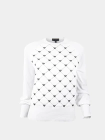 Худи и свитшоты Emporio Armani модель 6H2MTR-2M32Z-0100 Фото