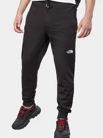 Брюки The North Face модель NF0A4SVQJK31 Фото