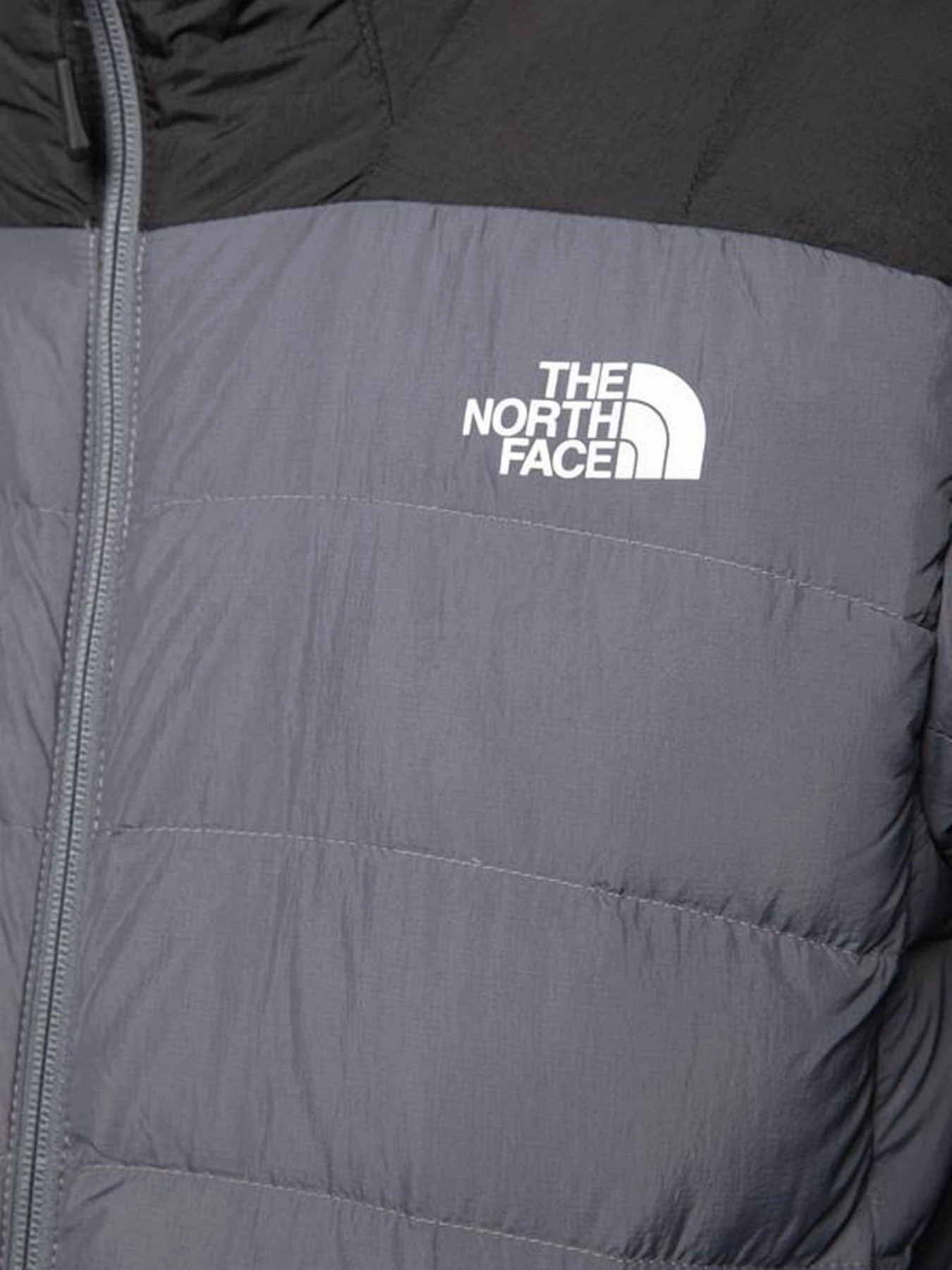 Куртки и дубленки The North Face модель NF00CYG91741 Куртки и дубленки The North Face модель NF00CYG91741 Фото