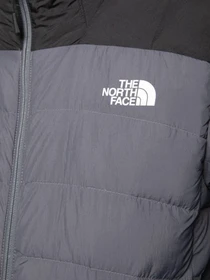 Куртки и дубленки The North Face модель NF00CYG91741 Фото