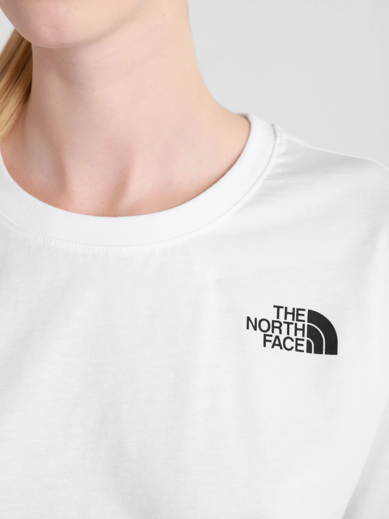 Футболки и поло The North Face модель NF0A4SYCFN41 Футболки и поло The North Face модель NF0A4SYCFN41 Фото