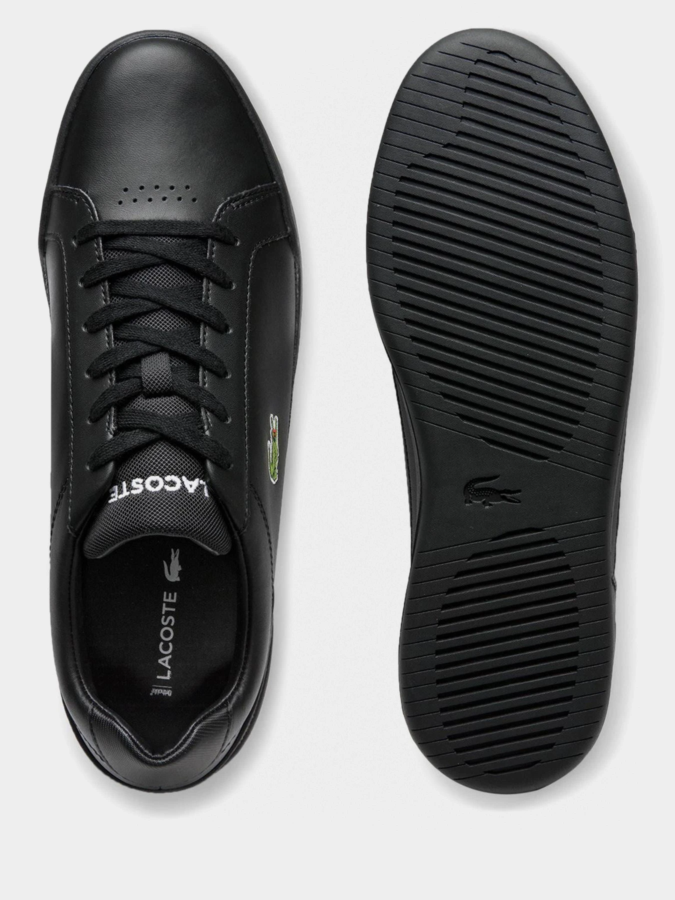 Кеды Lacoste модель 740SMA008002H Кеды Lacoste модель 740SMA008002H Фото