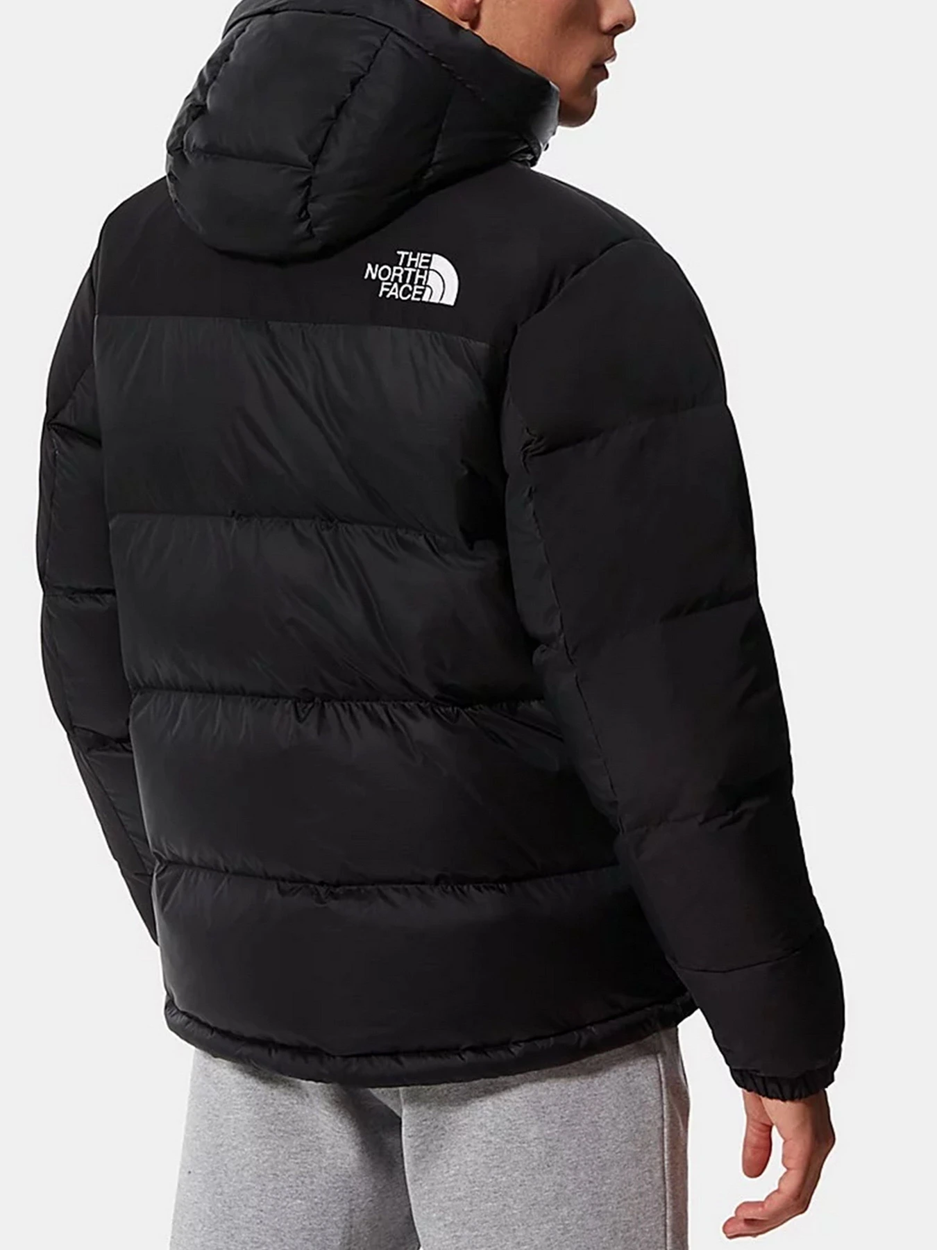 Куртки и дубленки The North Face модель NF0A4QYXJK31 Куртки и дубленки The North Face модель NF0A4QYXJK31 Фото
