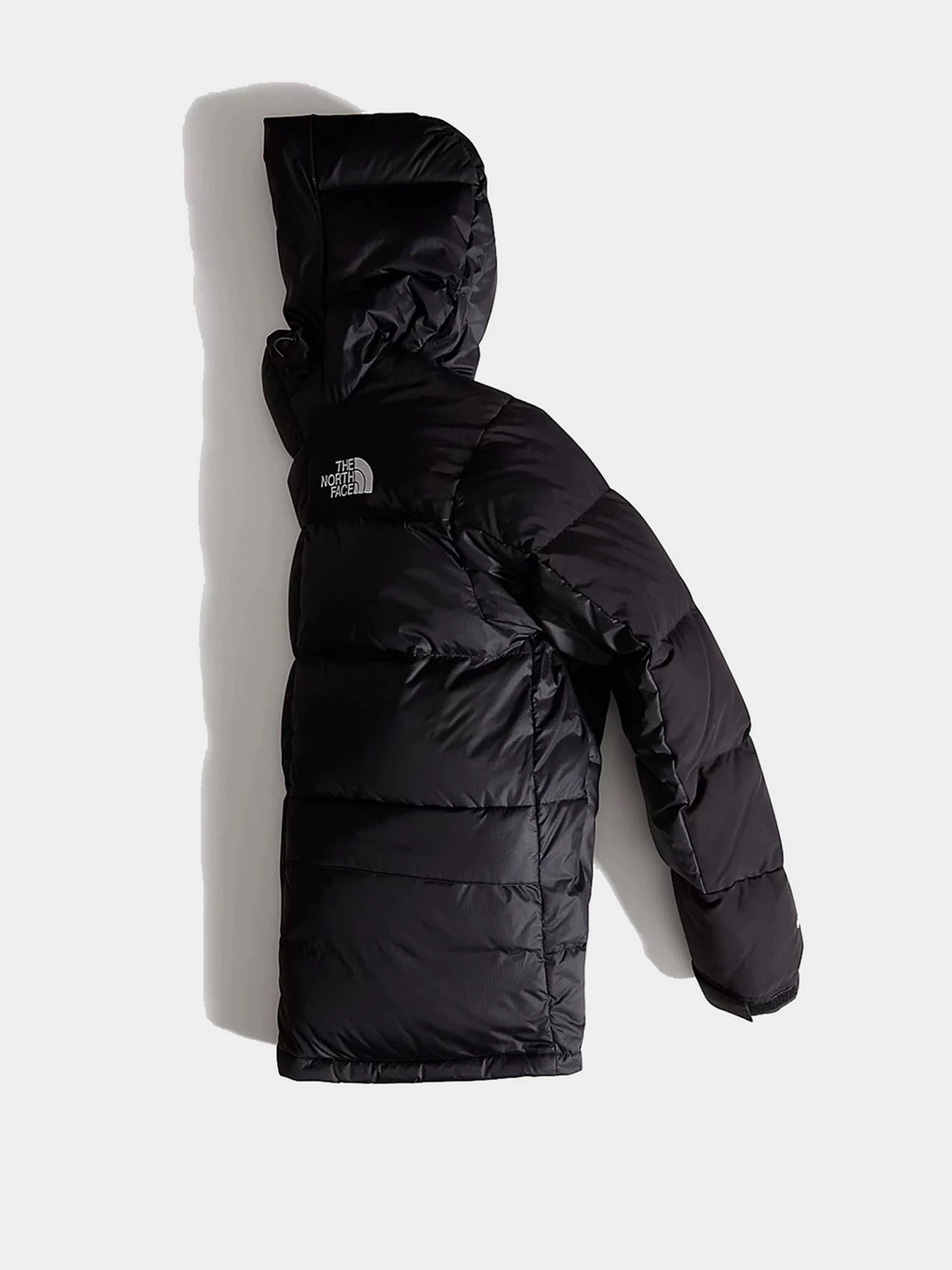 Куртки и дубленки The North Face модель NF0A4QYXJK31 Куртки и дубленки The North Face модель NF0A4QYXJK31 Фото