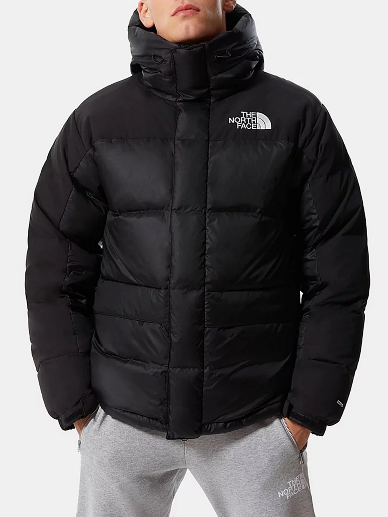 Куртки и дубленки The North Face модель NF0A4QYXJK31 Куртки и дубленки The North Face модель NF0A4QYXJK31 Фото
