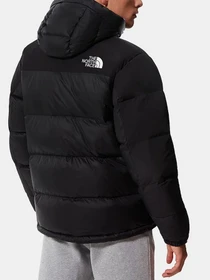 Куртки и дубленки The North Face модель NF0A4QYXJK31 Фото
