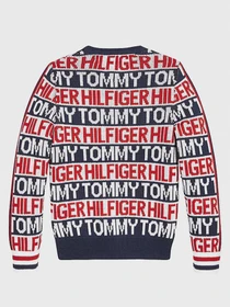 Худи и свитшоты Tommy Hilfiger модель KB0KB06088-Z01 Фото
