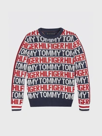 Худи и свитшоты Tommy Hilfiger модель KB0KB06088-Z01 Фото