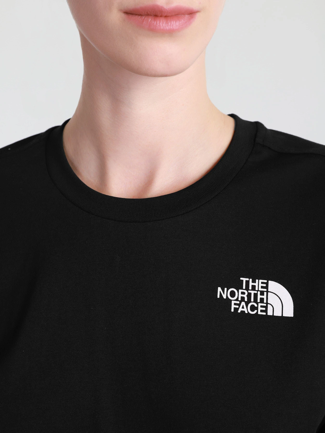 Футболки и поло The North Face модель NF0A4CESJK31 Футболки и поло The North Face модель NF0A4CESJK31 Фото