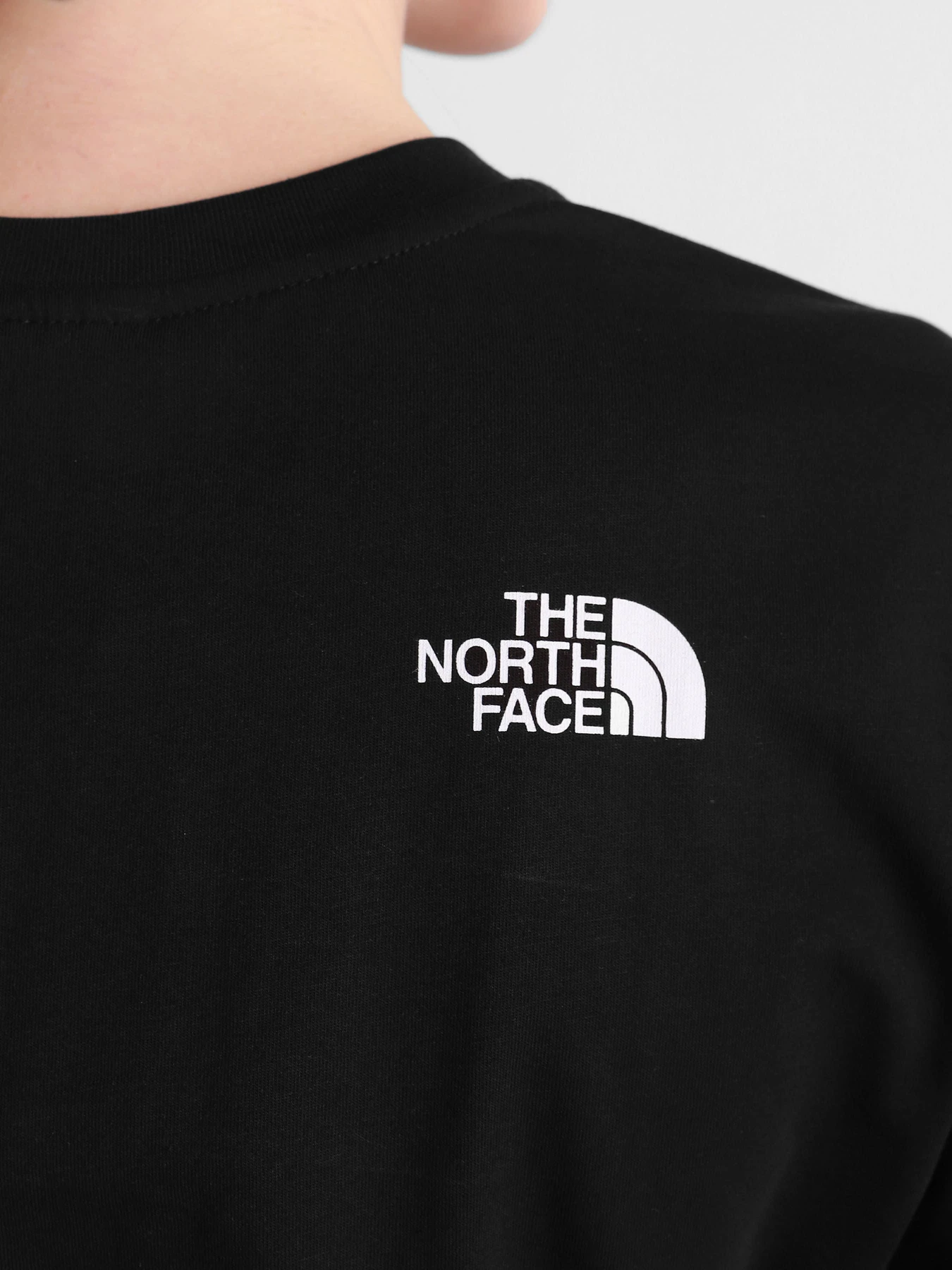 Футболки и поло The North Face модель NF0A4CESJK31 Футболки и поло The North Face модель NF0A4CESJK31 Фото