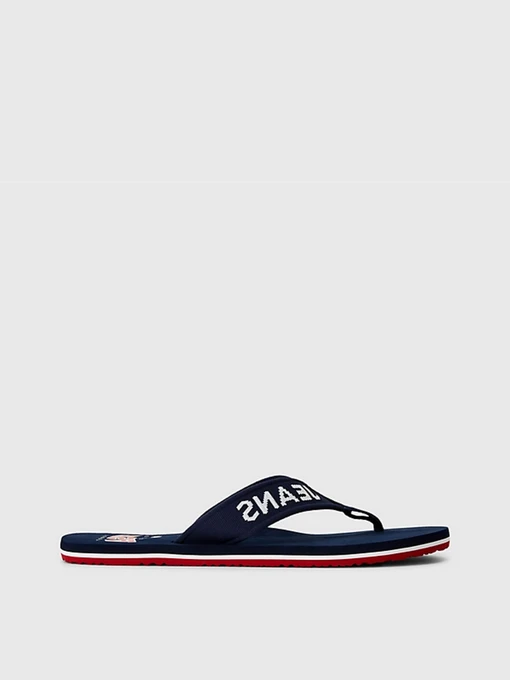 Шлёпанцы Tommy Hilfiger модель EM0EM01147-C87 Фото